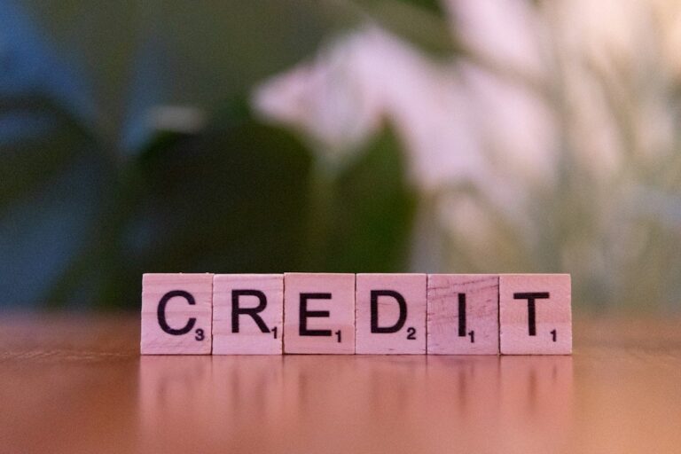 Pessoa analisando relatório de crédito e pontuação de score no computador